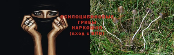 ALPHA PVP Володарск